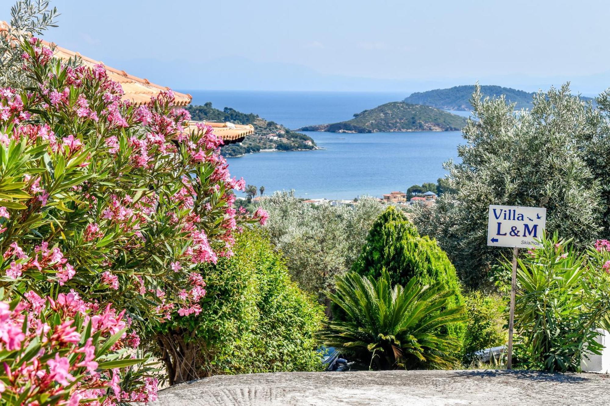 Apartments Villa L&M Skiathos Kalivia  Bagian luar foto