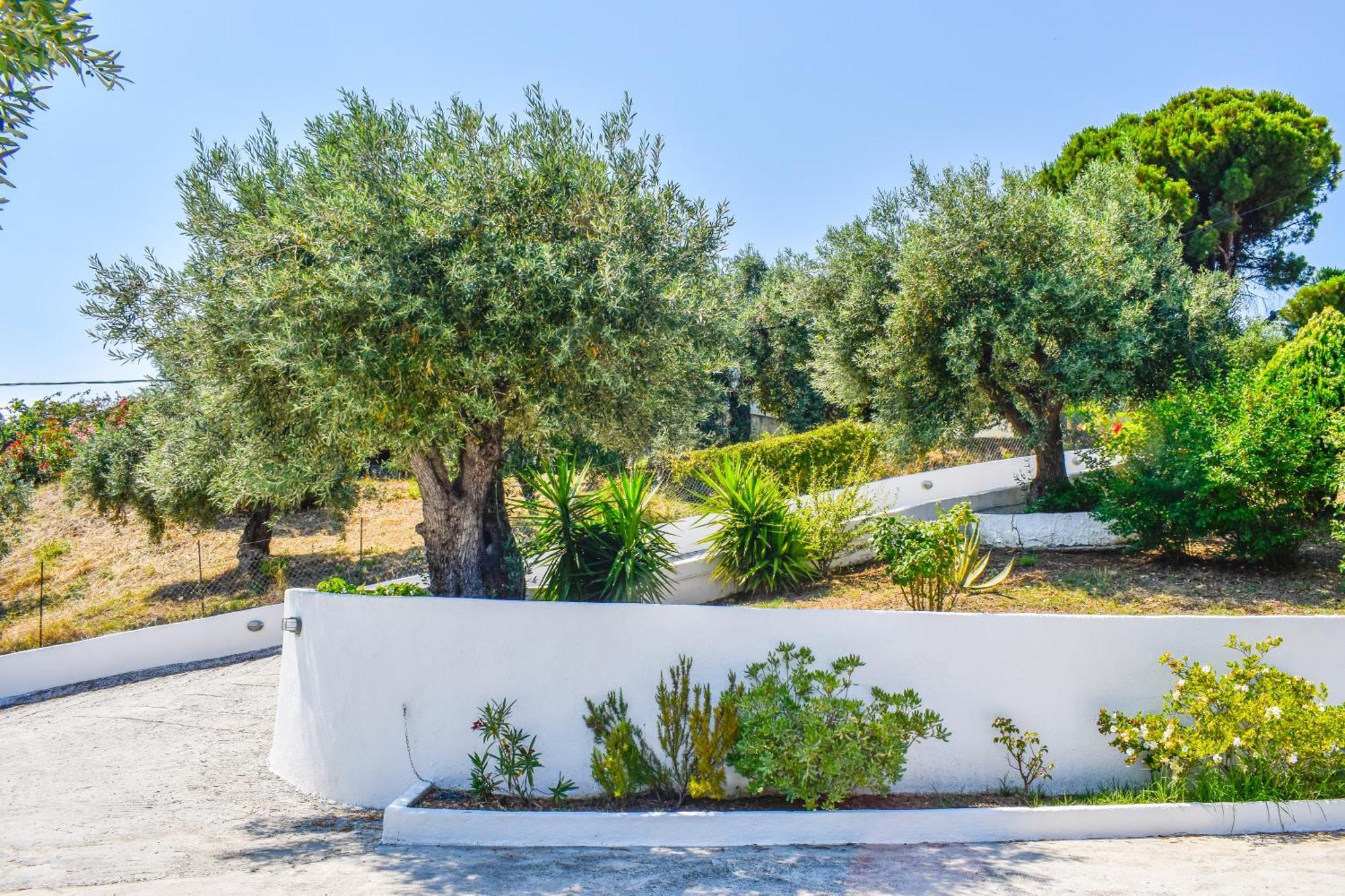Apartments Villa L&M Skiathos Kalivia  Bagian luar foto