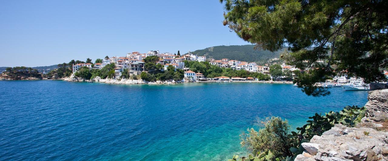 Apartments Villa L&M Skiathos Kalivia  Bagian luar foto
